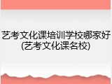 艺考文化课培训学校哪家好(艺考文化课名校)