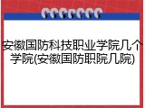 安徽国防科技职业学院几个学院(安徽国防职院几院)