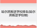 哈尔滨叛逆学校排名(哈尔滨叛逆学校榜)