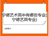 宁德艺术高中有哪些专业(宁德艺高专业)