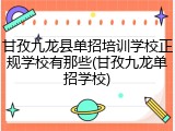 甘孜九龙县单招培训学校正规学校有那些(甘孜九龙单招学校)