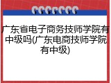 广东省电子商务技师学院有中级吗(广东电商技师学院有中级)