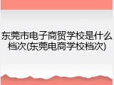 东莞市电子商贸学校是什么档次(东莞电商学校档次)