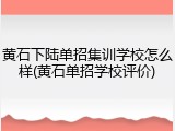 黄石下陆单招集训学校怎么样(黄石单招学校评价)