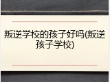 叛逆学校的孩子好吗(叛逆孩子学校)