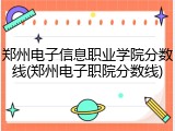 郑州电子信息职业学院分数线(郑州电子职院分数线)