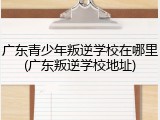 广东青少年叛逆学校在哪里(广东叛逆学校地址)