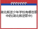 湖北叛逆少年学校有哪些职中的(湖北叛逆职中)