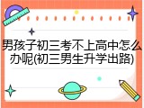 男孩子初三考不上高中怎么办呢(初三男生升学出路)
