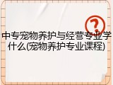中专宠物养护与经营专业学什么(宠物养护专业课程)