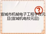 宣城市机械电子工程学校元旦(宣城机电校元旦)
