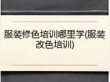 服装修色培训哪里学(服装改色培训)