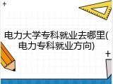 电力大学专科就业去哪里(电力专科就业方向)