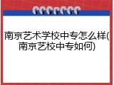 南京艺术学校中专怎么样(南京艺校中专如何)
