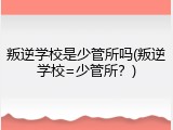 叛逆学校是少管所吗(叛逆学校=少管所？)