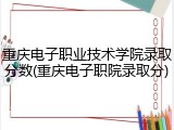 重庆电子职业技术学院录取分数(重庆电子职院录取分)