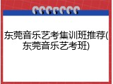 东莞音乐艺考集训班推荐(东莞音乐艺考班)