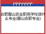 合肥蜀山农业职高学校读什么专业(蜀山农职专业)
