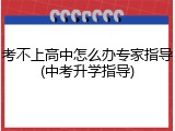 考不上高中怎么办专家指导(中考升学指导)