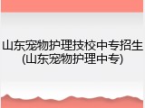 山东宠物护理技校中专招生(山东宠物护理中专)