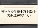 叛逆学校学费十万上海(上海叛逆学校10万)