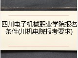 四川电子机械职业学院报名条件(川机电院报考要求)