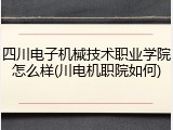 四川电子机械技术职业学院怎么样(川电机职院如何)