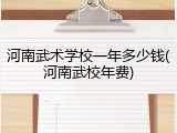 河南武术学校一年多少钱(河南武校年费)