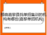 那曲嘉黎县找单招集训的机构有哪些(嘉黎单招机构)