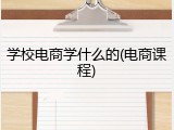 学校电商学什么的(电商课程)