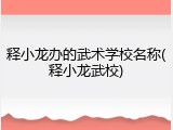 释小龙办的武术学校名称(释小龙武校)