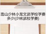 嵩山少林小龙文武学校学费多少(少林武校学费)