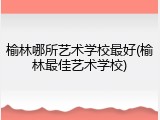榆林哪所艺术学校最好(榆林最佳艺术学校)