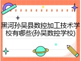 黑河孙吴县数控加工技术学校有哪些(孙吴数控学校)