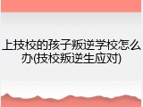 上技校的孩子叛逆学校怎么办(技校叛逆生应对)