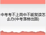 中考考不上高中不能复读怎么办(中考落榜出路)
