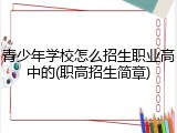 青少年学校怎么招生职业高中的(职高招生简章)