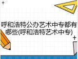 呼和浩特公办艺术中专都有哪些(呼和浩特艺术中专)