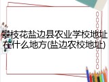 攀枝花盐边县农业学校地址在什么地方(盐边农校地址)