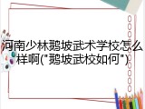 河南少林鹅坡武术学校怎么样啊("鹅坡武校如何")