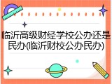 临沂高级财经学校公办还是民办(临沂财校公办民办)
