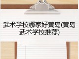 武术学校哪家好黄岛(黄岛武术学校推荐)