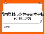 河南登封市少林寺武术学校(少林武校)