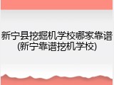 新宁县挖掘机学校哪家靠谱(新宁靠谱挖机学校)