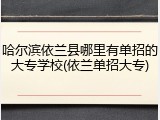 哈尔滨依兰县哪里有单招的大专学校(依兰单招大专)