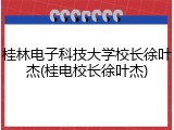 桂林电子科技大学校长徐叶杰(桂电校长徐叶杰)