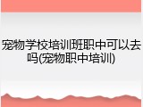 宠物学校培训班职中可以去吗(宠物职中培训)