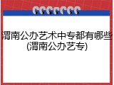 渭南公办艺术中专都有哪些(渭南公办艺专)