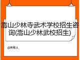 嵩山少林寺武术学校招生咨询(嵩山少林武校招生)