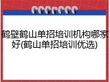 鹤壁鹤山单招培训机构哪家好(鹤山单招培训优选)